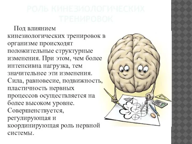 РОЛЬ КИНЕЗИОЛОГИЧЕСКИХ ТРЕНИРОВОК Под влиянием кинезиологических тренировок в организме происходят положительные