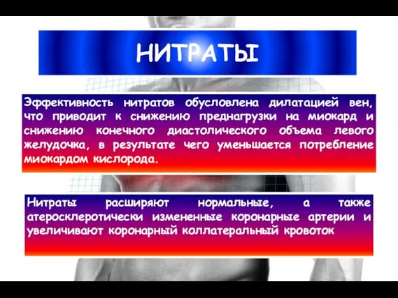 НИТРАТЫ Эффективность нитратов обусловлена дилатацией вен, что приводит к снижению преднагрузки