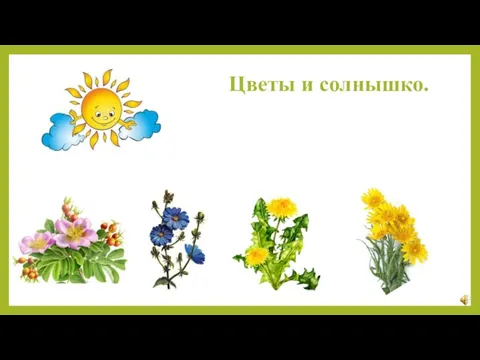 Цветы и солнышко.