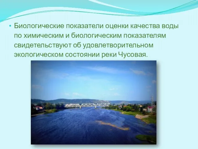 Биологические показатели оценки качества воды по химическим и биологическим показателям свидетельствуют