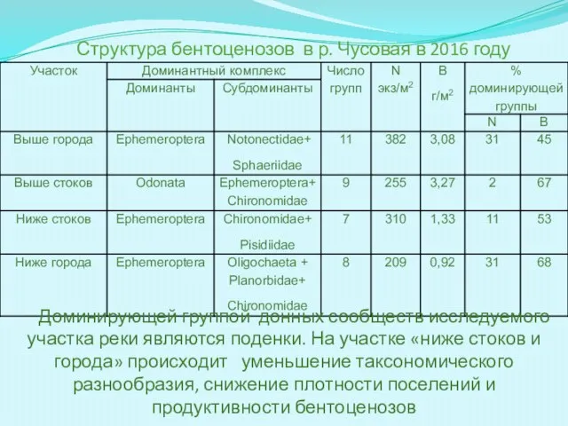 Структура бентоценозов в р. Чусовая в 2016 году Доминирующей группой донных