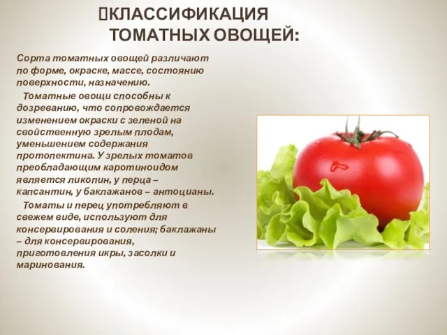 КЛАССИФИКАЦИЯ ТОМАТНЫХ ОВОЩЕЙ: Сорта томатных овощей различают по форме, окраске, массе,