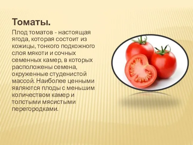 Томаты. Плод томатов - настоящая ягода, которая состоит из кожицы, тонкого