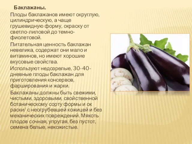 Баклажаны. Плоды баклажанов имеют округлую, цилиндрическую, а чаще грушевидную форму, окраску