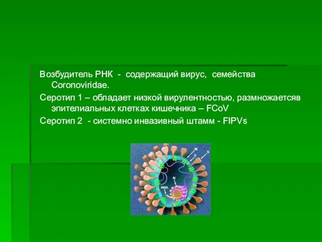 Возбудитель РНК - содержащий вирус, семейства Coronoviridae. Серотип 1 – обладает