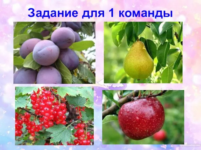 Задание для 1 команды