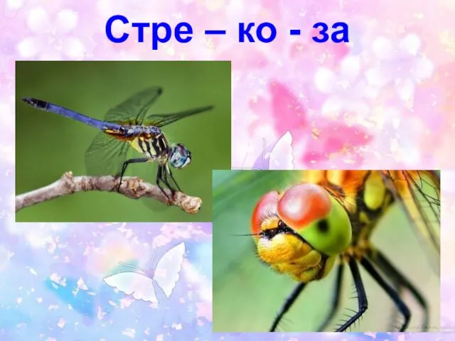 Стре – ко - за