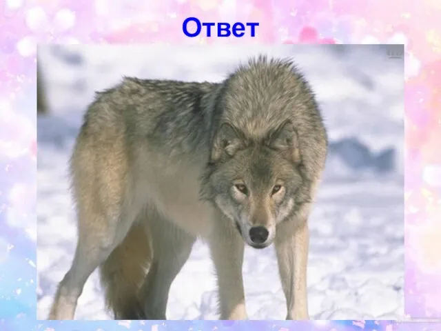 Ответ