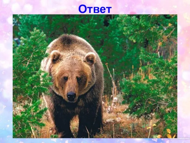 Ответ