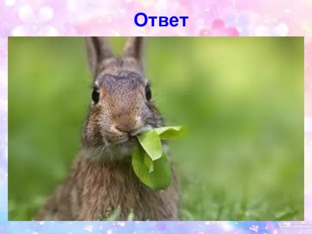 Ответ