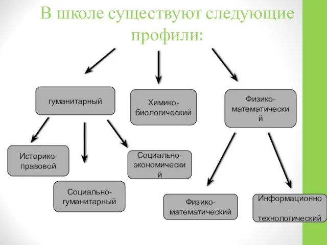 В школе существуют следующие профили: гуманитарный Химико-биологический Физико-математический Историко-правовой Социально-гуманитарный Социально-экономический Физико-математический Информационно-технологический