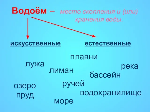 Водоём – искусственные естественные лужа ручей река пруд водохранилище плавни лиман