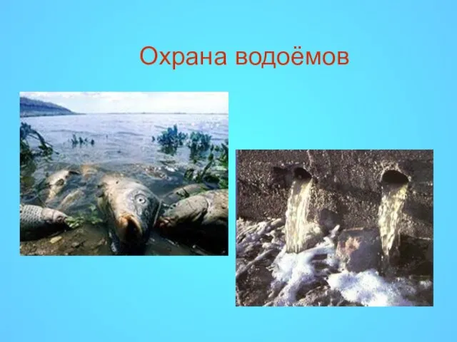 Охрана водоёмов