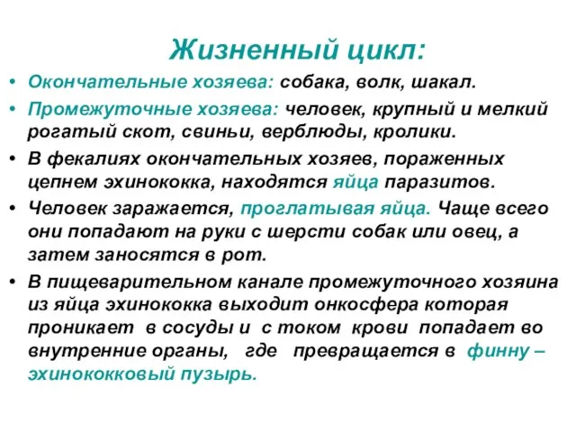 Жизненный цикл: Окончательные хозяева: собака, волк, шакал. Промежуточные хозяева: человек, крупный