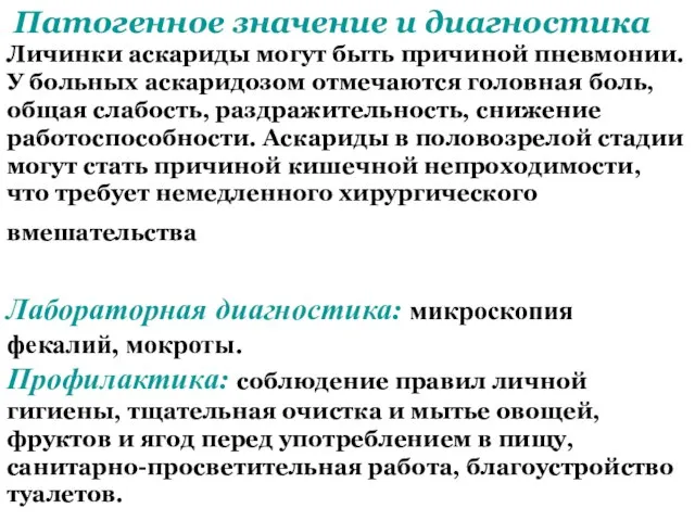 Патогенное значение и диагностика Личинки аскариды могут быть причиной пневмонии. У