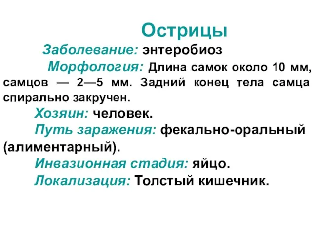 Острицы Заболевание: энтеробиоз Морфология: Длина самок около 10 мм, самцов —