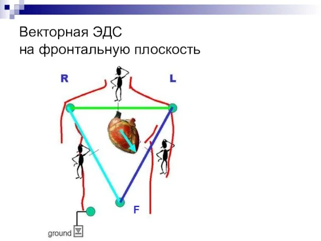 Векторная ЭДС на фронтальную плоскость