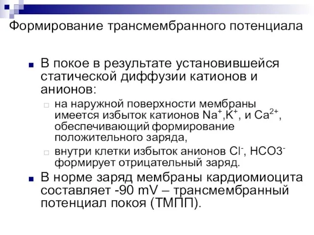 Формирование трансмембранного потенциала В покое в результате установившейся статической диффузии катионов