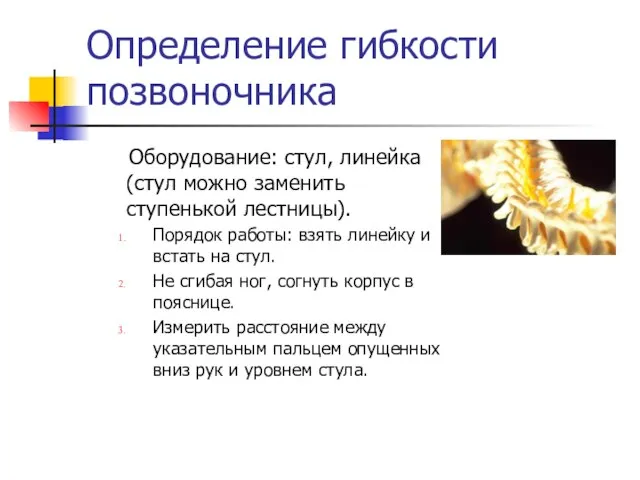 Определение гибкости позвоночника Оборудование: стул, линейка (стул можно заменить ступенькой лестницы).