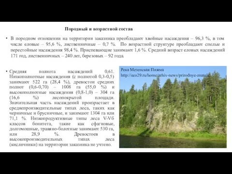 Средняя полнота насаждений 0,61. Низкополнотные насаждения (с полнотой 0,3-0,5) занимают 522