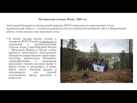 Путешествие ученых. Июнь. 2020 год. Экспедиция Всемирного фонда дикой природы (WWF)