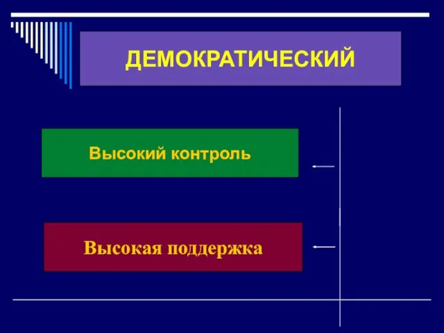 ДЕМОКРАТИЧЕСКИЙ Высокая поддержка Высокий контроль