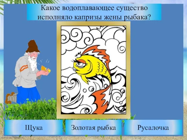 Какое водоплавающее существо исполняло капризы жены рыбака? Золотая рыбка Щука Русалочка