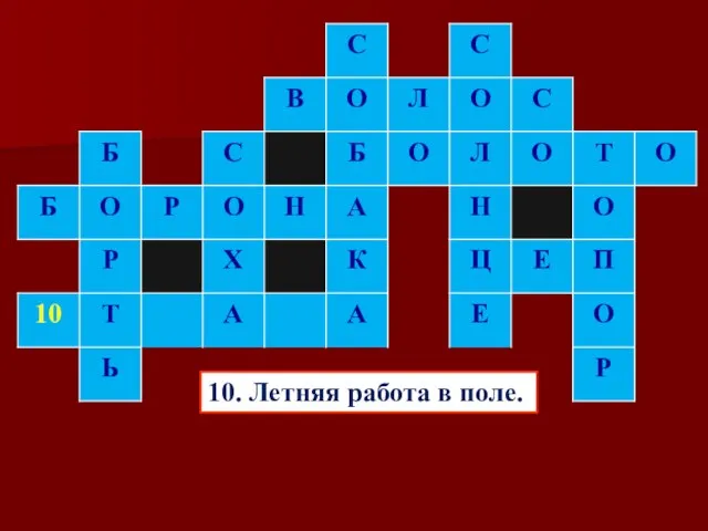 10. Летняя работа в поле.