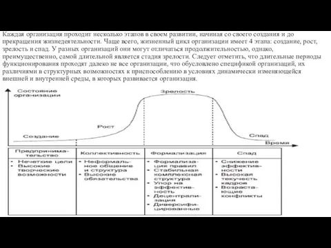 Каждая организация проходит несколько этапов в своем развитии, начиная со своего