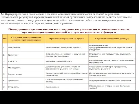 М. Портер предложил свою модель поведения организации в зависимости от стадий