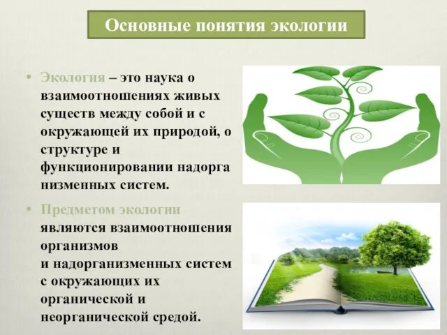 Основные понятия экологии Экология – это наука о взаимоотношениях живых существ