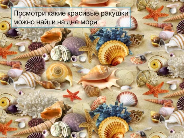 Посмотри какие красивые ракушки можно найти на дне моря.