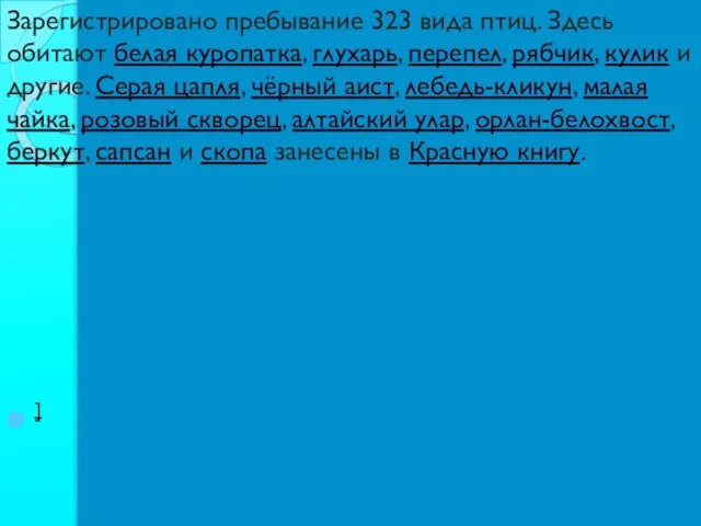 ] Зарегистрировано пребывание 323 вида птиц. Здесь обитают белая куропатка, глухарь,