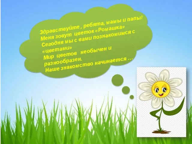 Здравствуйте , ребята, мамы и папы! Меня зовут цветок «Ромашка» Сегодня