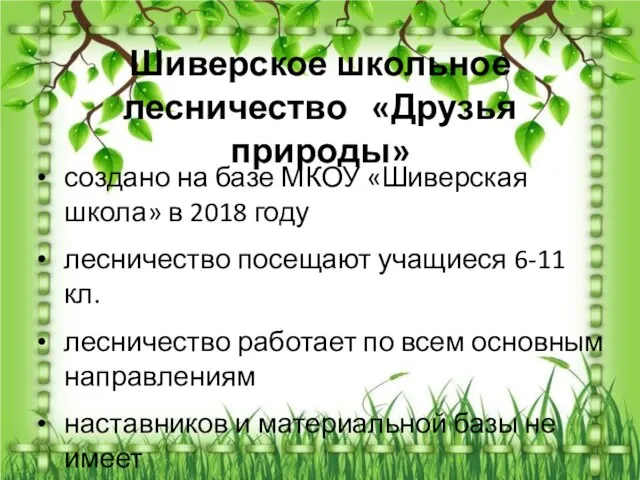 Шиверское школьное лесничество «Друзья природы» создано на базе МКОУ «Шиверская школа»