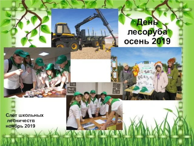 День лесоруба осень 2019 Слёт школьных лесничеств ноябрь 2019