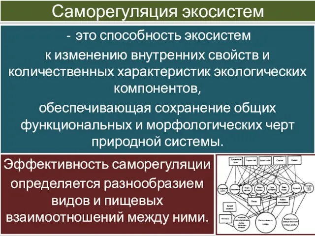 Саморегуляция экосистем это способность экосистем к изменению внутренних свойств и количественных