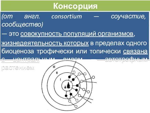 Консорция (от англ. consortium — соучастие, сообщество) — это совокупность популяций