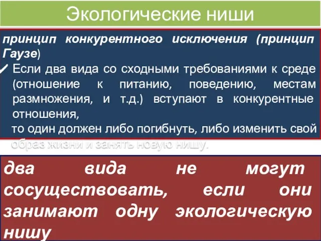 Экологические ниши принцип конкурентного исключения (принцип Гаузе) Если два вида со