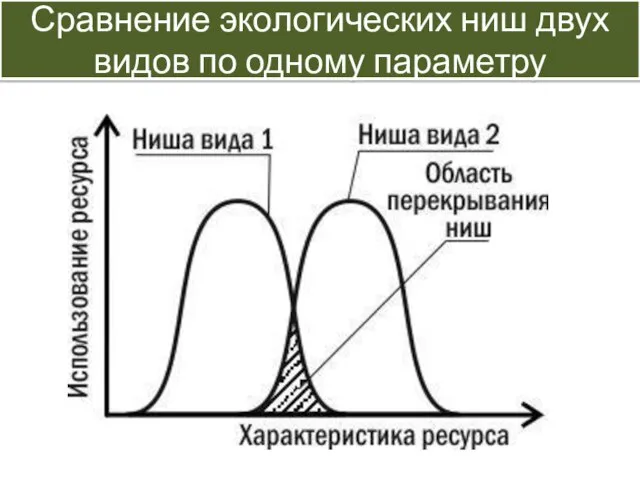 Сравнение экологических ниш двух видов по одному параметру