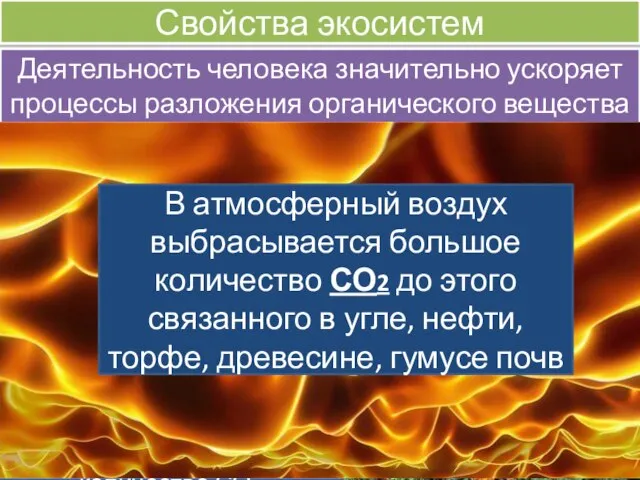 Деятельность человека значительно ускоряет процессы разложения органического вещества Свойства экосистем