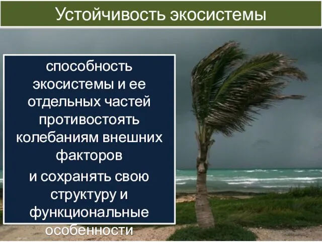 Устойчивость экосистемы способность экосистемы и ее отдельных частей противостоять колебаниям внешних