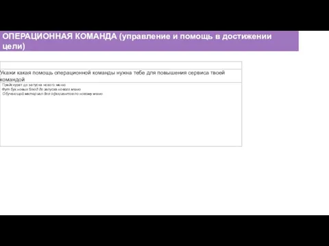 ОПЕРАЦИОННАЯ КОМАНДА (управление и помощь в достижении цели)