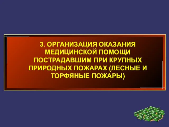 3. ОРГАНИЗАЦИЯ ОКАЗАНИЯ МЕДИЦИНСКОЙ ПОМОЩИ ПОСТРАДАВШИМ ПРИ КРУПНЫХ ПРИРОДНЫХ ПОЖАРАХ (ЛЕСНЫЕ И ТОРФЯНЫЕ ПОЖАРЫ)