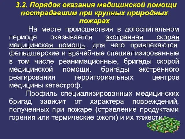 3.2. Порядок оказания медицинской помощи пострадавшим при крупных природных пожарах На