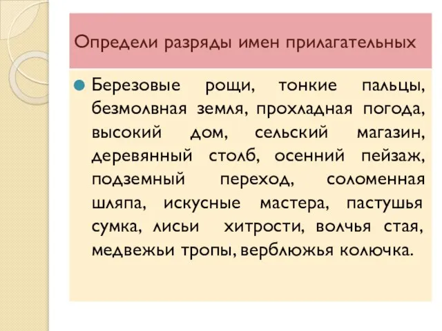 Определи разряды имен прилагательных Березовые рощи, тонкие пальцы, безмолвная земля, прохладная