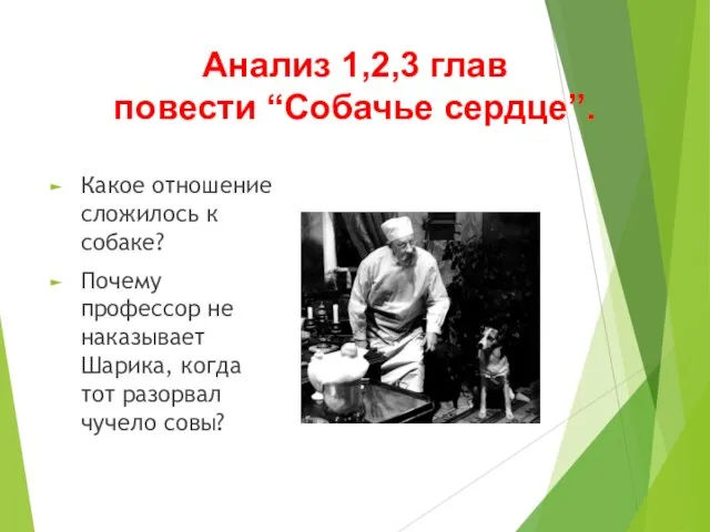 Анализ 1,2,3 глав повести “Собачье сердце”. Какое отношение сложилось к собаке?