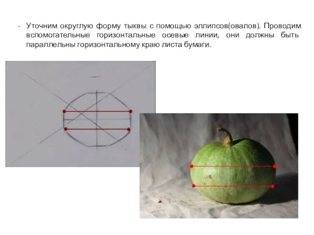 Уточним округлую форму тыквы с помощью эллипсов(овалов). Проводим вспомогательные горизонтальные осевые