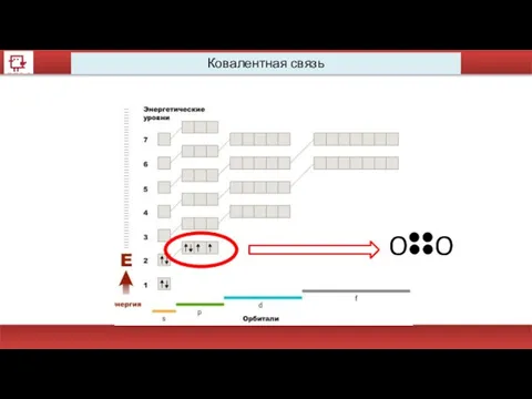 Ковалентная связь O O