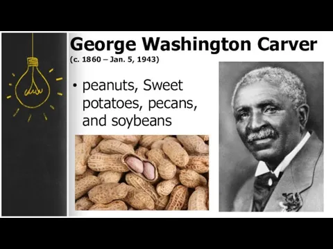 George Washington Carver (с. 1860 – Jan. 5, 1943) peanuts, Sweet potatoes, pecans, and soybeans